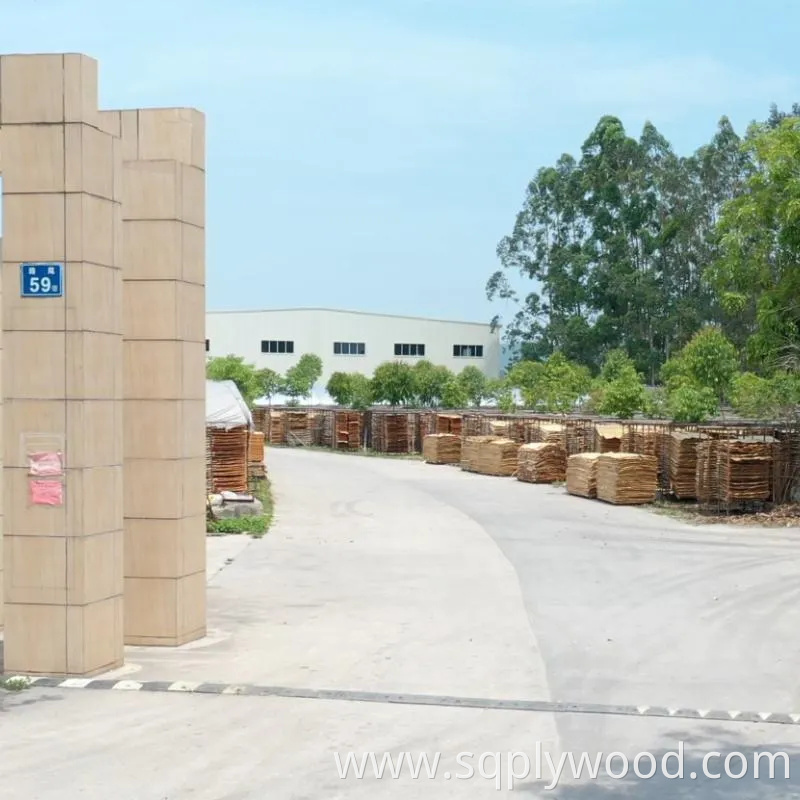 Shuttering/Marine Plywood, Construction Waterproof Film Faced Plywood for Building